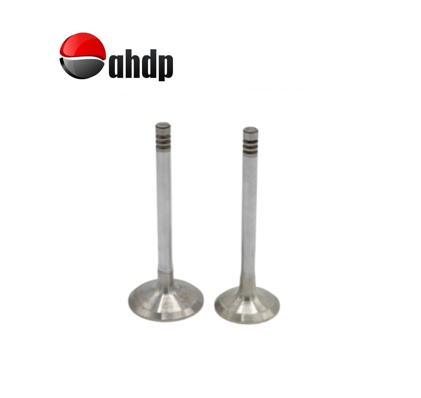 ENGINE VALVE SET IN+EX HATZ - HZ0104246800, HZ0104246900